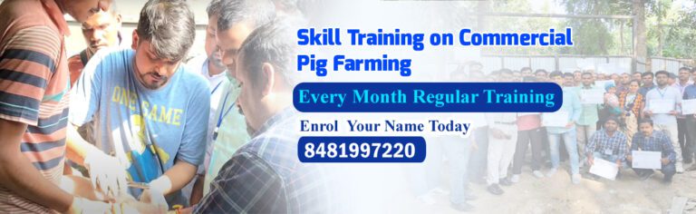 Pig Farming Training & Research Institute of India
